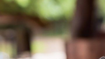 Si puedes controlar lo que comes, ¿por qué no también la tecnología que usas?