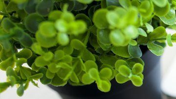 Hay más de 200,000 aplicaciones de salud.