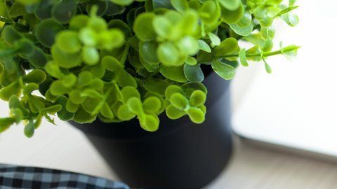 Hay más de 200,000 aplicaciones de salud.