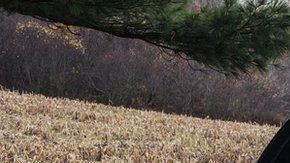 La pickup Ford F-150 es el vehículo más vendido en el mundo.