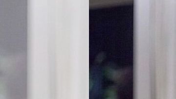 Caetano Veloso se unió a la campaña que proclama que "el color no tiene género".