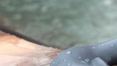 105120439_bb693313-95a4-4e1b-980a-d728ecde7402