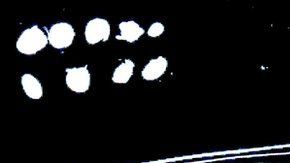 Las denuncias sobre abusos y ataques están movilizando a otras víctimas.