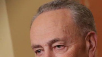 Chuck Schumer y  Nancy Pelosi, son miembros de la Banda de los 8.