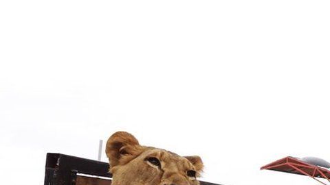 Existen en los mapas pero no son estados nacionales completos.