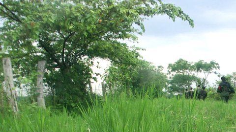 El ELN se formó en 1964, el mismo año que las FARC.