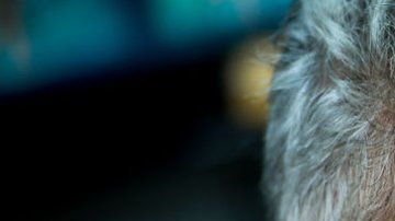 Boris Izaguirre es parte del programa del Hay Cartagena.