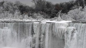 La imagen cautivó a los visitantes.
