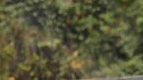 Venezuela vive una nueva oleada de protestas.