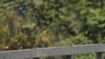 Venezuela vive una nueva oleada de protestas.