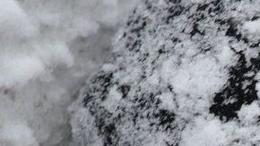 El frío puede tener consecuencias funestas para la salud.