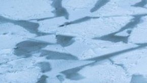 105406715_mediaitem105406714