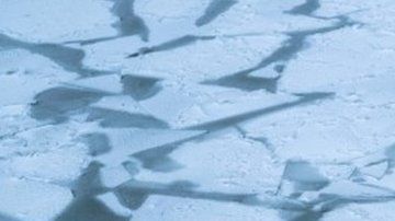 105406715_mediaitem105406714