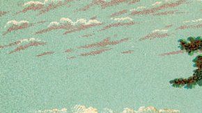 Hay interacciones humanas que dejaron una marca indeleble en el planeta.