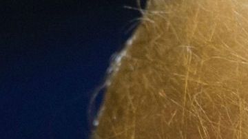 Trump acusa a los países del Triángulo del Norte