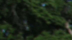 ICE busca ampliar el número de ciudades que colaboren en la retención de inmigrantes