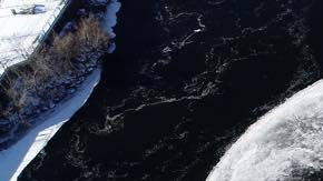 50456959_1969111296539358_5081521235490242560_n