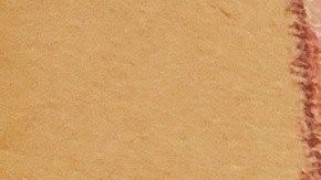 Emma Coronel llegó retrasada al juicio este miércoles.