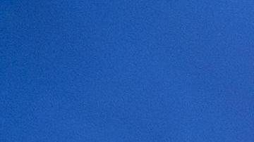 La iniciativa cayó porque no consiguió los dos tercios de la Cámara que requería