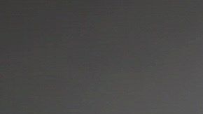 Seguidores de Bolsonaro en Brasil. EFE/Fernando Bizerra Jr.