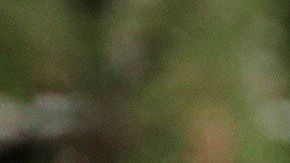 Bolsonaro ya es presidente de Brasil.