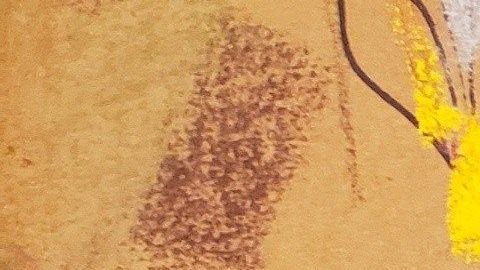 El operativo se hizo en una vivienda de $1 millón de dólares.