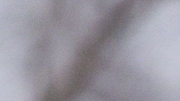 Trump con el vicepresidente Mike Pence en el Rose Garden de la Casa Blanca.