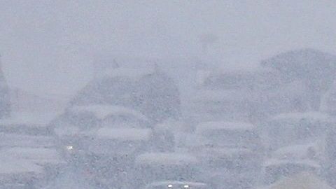 La tormenta Gia hizo bastante daños en Estados Unidos.