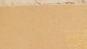 Coronel ha sido mencionada en varias ocasiones en la Corte.