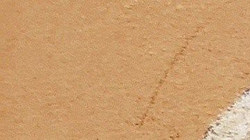 Alex Cifuentes contó cómo presentó a dos dominicanos a "El Chapo".