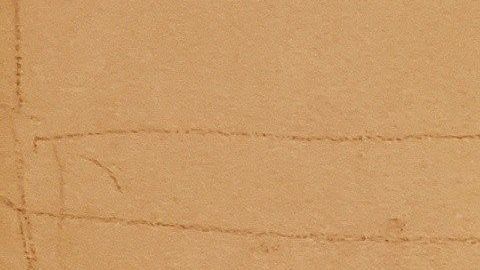 La "Chapodiputada" rindió testimonio contra Guzmán Loera, frente a Emma Coronel.