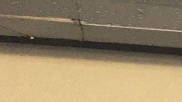 Venezolanos frente a la embajada de su país en Ecuador.