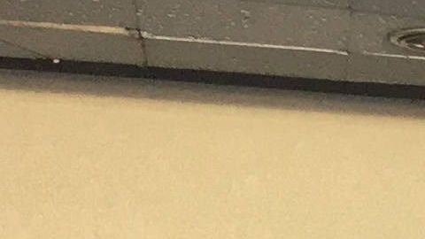 Venezolanos frente a la embajada de su país en Ecuador.