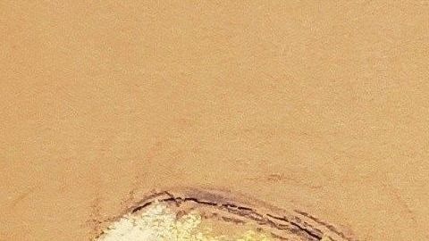 Dámaso López Núñez, el "Lic", comenzó a rendir testimonio en Brooklyn.