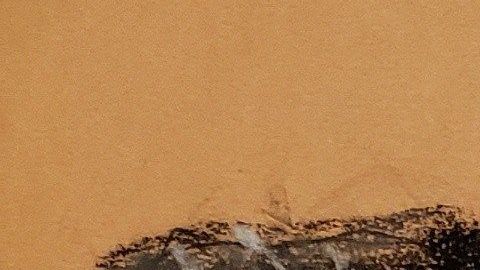 "Memín" fue uno de los pilotos de Guzmán Loera.