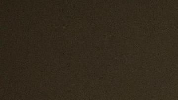 Roger Stone fue detenido esta madrugada en Florida