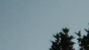 Unos 3,000 migrantes esperan cruzar de Guatemala a México.