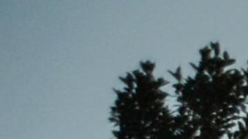 Unos 3,000 migrantes esperan cruzar de Guatemala a México.