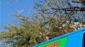 Replica de la Máquina del Misterio de la Pelicula de Scooby-Doo