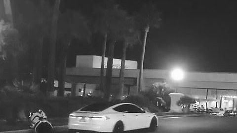 No se sabe si el Tesla en verdad derribó al robot o éste se cayó por sí solo