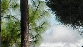 Alejandro Aparicio murió en el hospital