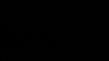 El presidente busca concretar el muro fronterizo.