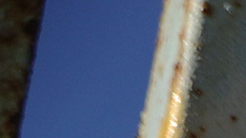 Los inmigrantes más afectados son aquellos que por ley dependen de una fecha específica para que sus casos sean aceptados.