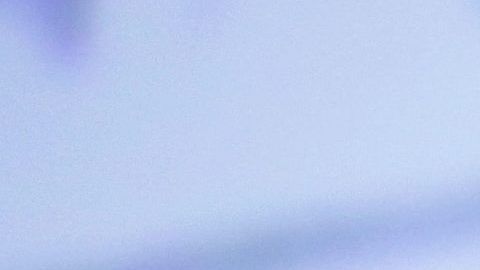 El latino sería una de las cartas demócratas para vencer a Trump en 2020