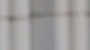 La popularidad de Emma Coronel crece en redes sociales.