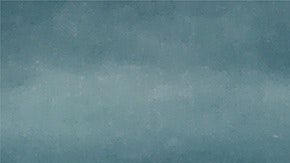 Ellas chocan menos, escogen autos más seguros y cometen menos infracciones