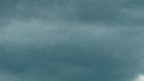 Ellas chocan menos, escogen autos más seguros y cometen menos infracciones