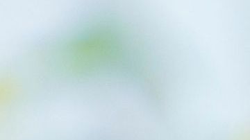 La robotización y la Inteligencia Artificial amenazan más a trabajos rutinarios./Shutterstock