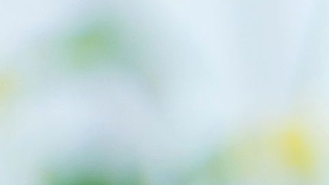 La robotización y la Inteligencia Artificial amenazan más a trabajos rutinarios./Shutterstock