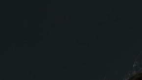 Alejandro Edda interpreta a "El Chapo" en la serie de Netflix.